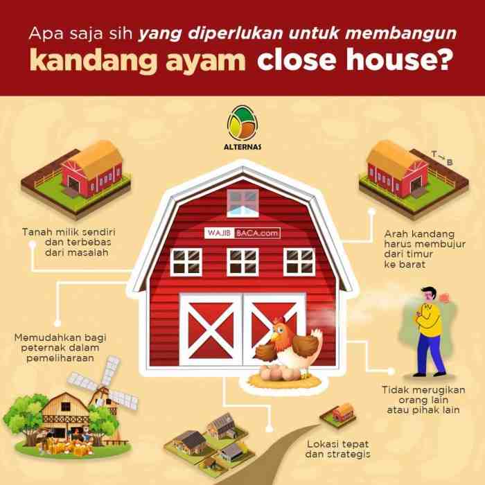 Kandang Ayam Petelur Close House