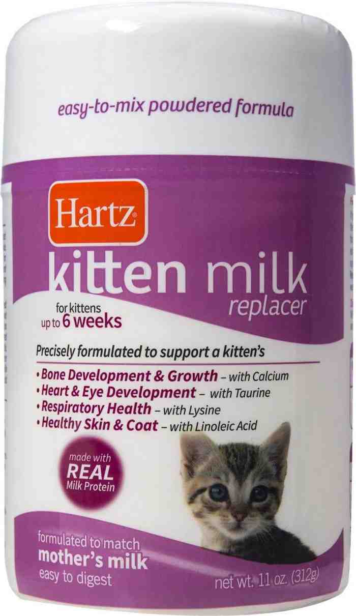 5 Makanan Anak Kucing Umur 1 Bulan