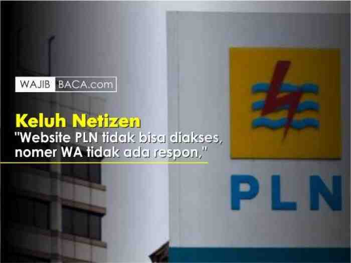 Website PLN Error, Warganet:'Niat bantu gak sih?'