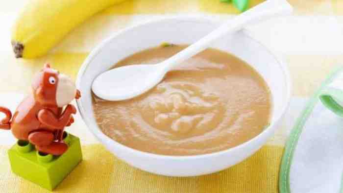 Resep Makanan Bayi 6 Bulan yang Bergizi (Bayi Pasti Suka)