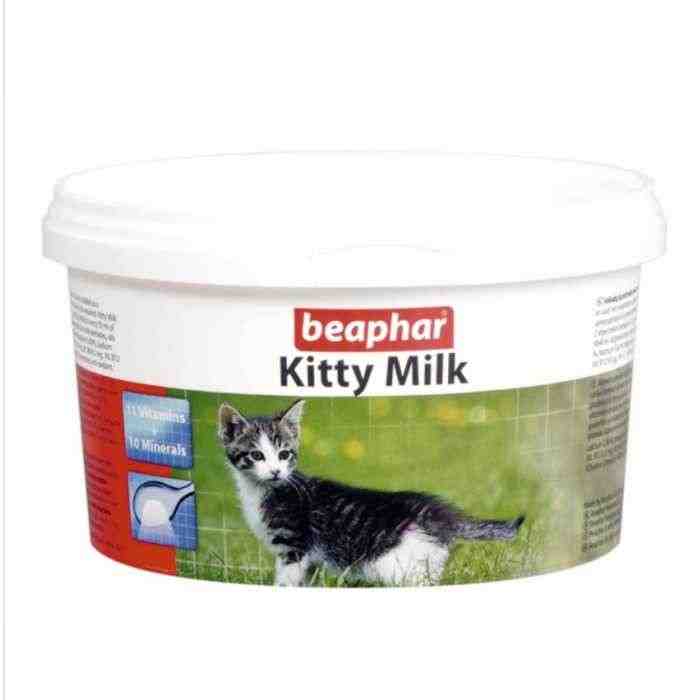 5 Makanan Anak Kucing Umur 1 Bulan