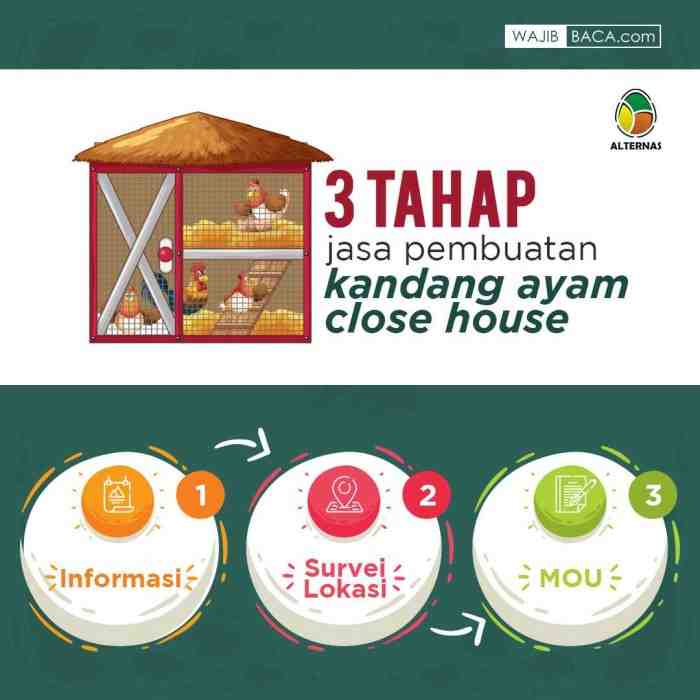 Jasa Pembuatan Kandang Ayam Close House Full Otomatis dan Modern