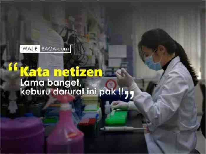 Kabar Baik, Unair Klaim Temukan Lima Senyawa Obat Corona