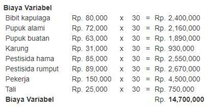 Ide Bisnis Kapulaga Jawa, Omset Hingga Jutaan!