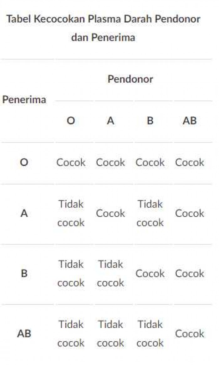 Perbedaan Karakteristik Golongan Darah A, B, AB, dan O