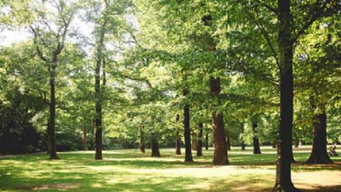 8 Tempat Persembunyian Ular yang Jarang Disadari