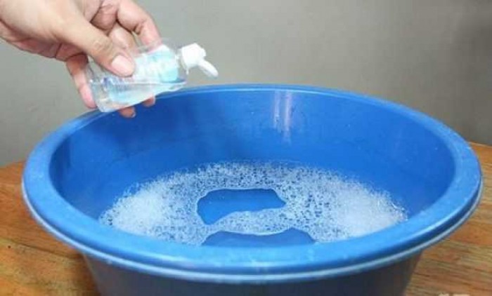 Banyak Nyamuk Dirumah? Awas Kena DBD, Ini Cara Alami Mengusirnya