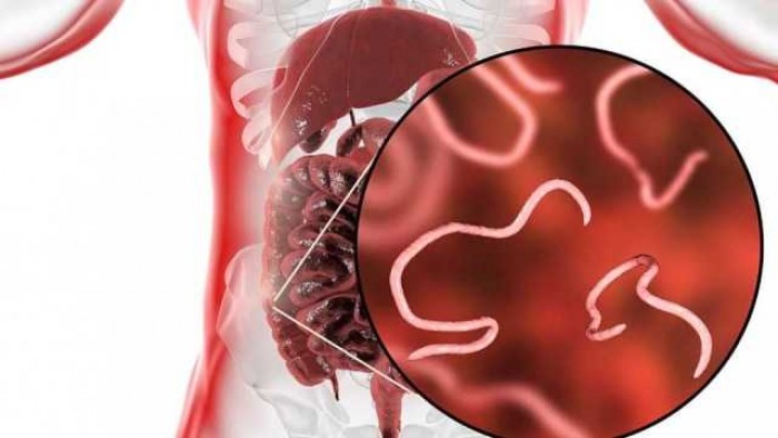 8 Penyakit Menular yang Mematikan dan Cara Pencegahannya