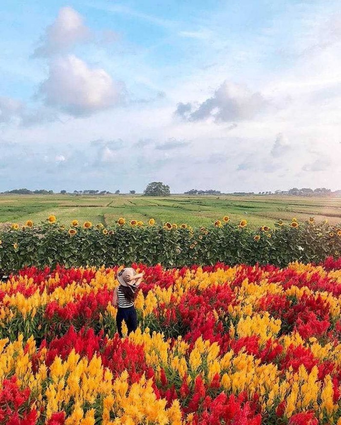7 Tempat Wisata Bantul Jogja yang Instagram Worthy