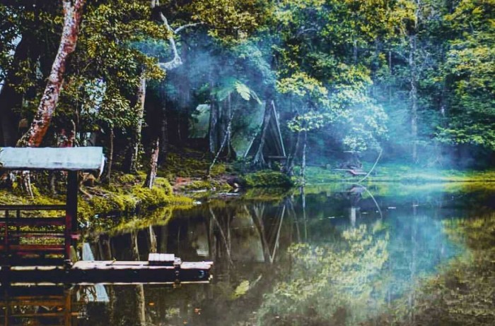 5 Wisata yang Tak Kalah Indah Dari Kebun Teh Puncak Bogor 