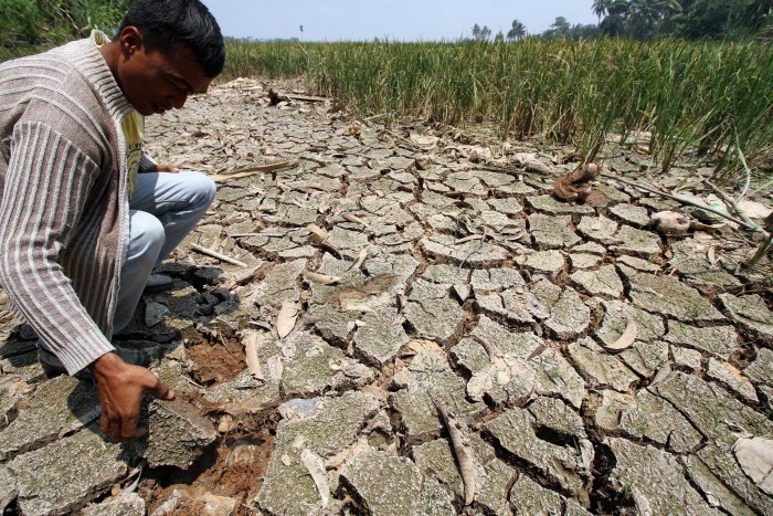 Jawa Kekeringan, Dampak Pemanasan Global Seluruh Dunia akan Krisis Air