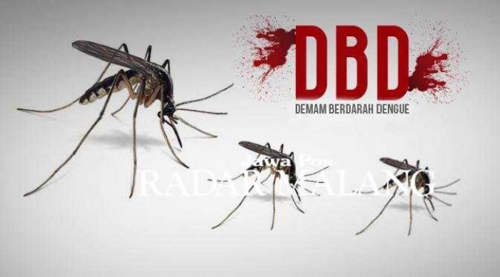 5 Cara Ampuh Cegah Nyamuk DBD