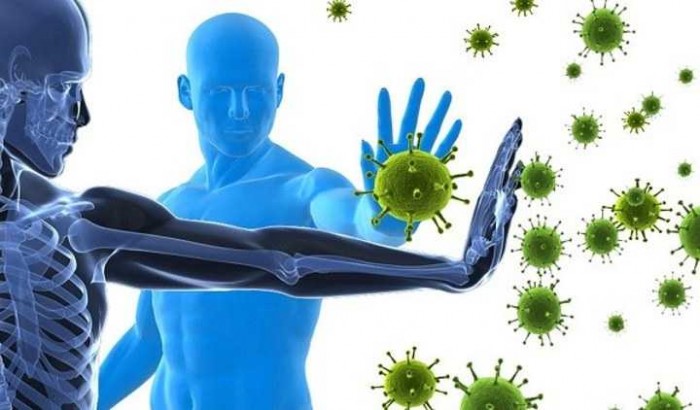 10 Manfaat Daun Tin Untuk Tubuh dan Kecantikan