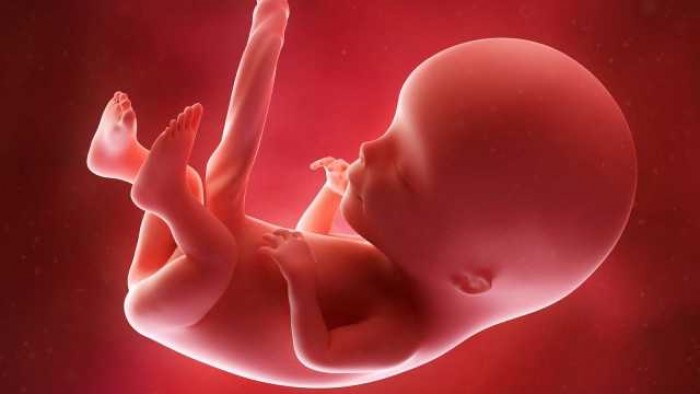 9 Tanda Bayi Sehat Dalam Kandungan, Bunda Wajib Tahu! 9 Tanda Bayi Sehat Dalam Kandungan, Bunda Wajib Tahu!