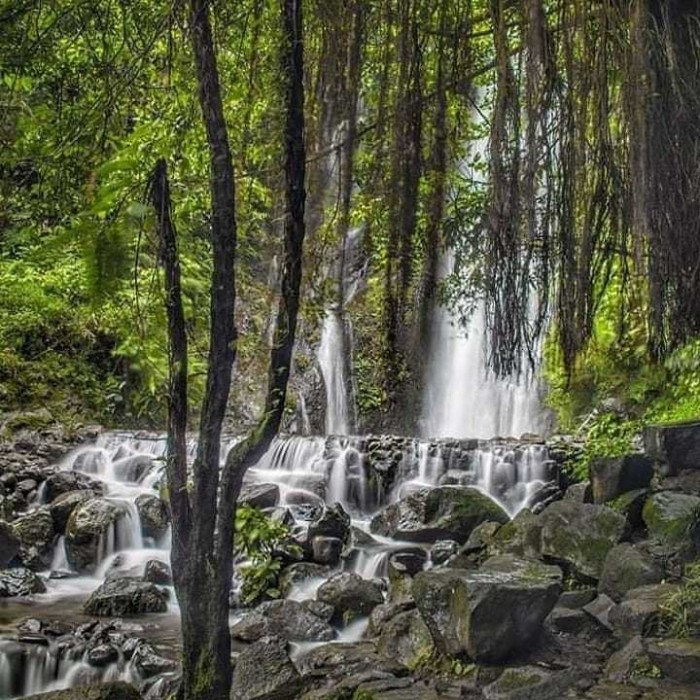 5 Wisata yang Tak Kalah Indah Dari Kebun Teh Puncak Bogor 