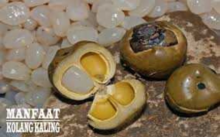 Bukti, Wanita ini Sembuh dari Saraf Kejepit Hanya dengan Makan Kolang Kaling