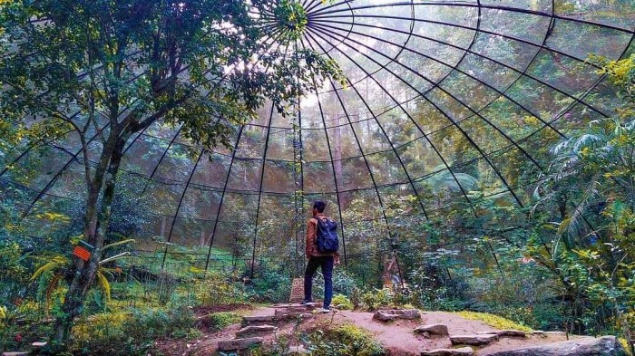 5 Wisata yang Tak Kalah Indah Dari Kebun Teh Puncak Bogor 