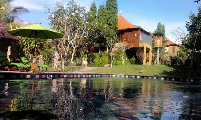 5 Referensi Hotel di Ubud Bali yang Murah dan Nyaman
