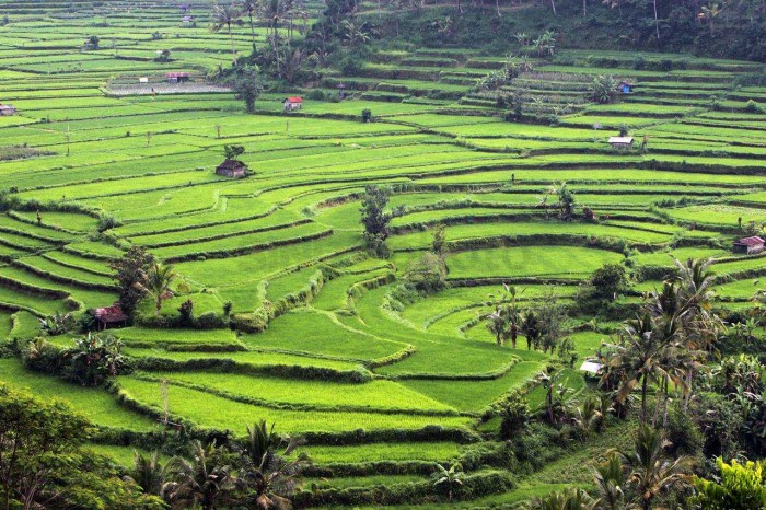 Yuk, Kunjungi 5 Wisata UNESCO Indonesia Berikut ini