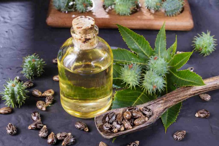 Berbagai Macam Ramuan Tradisional yang Mudah Dibuat