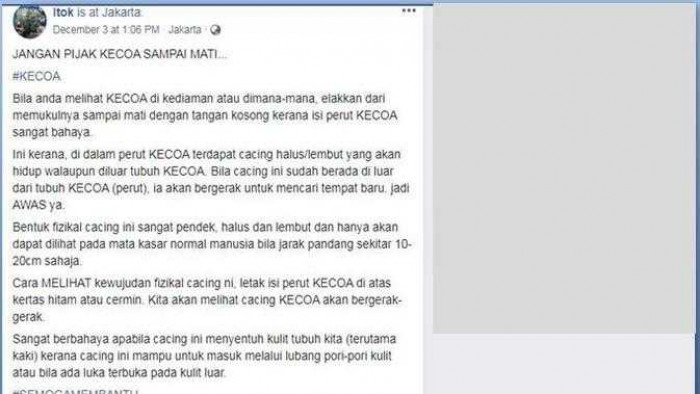 Benarkah Injak Kecoa Sampai Mati, ada Cacing Berbahaya Keluar dari Tubuhnya Benarkah Injak Kecoa Sampai Mati, ada Cacing Berbahaya Keluar dari Tubuhnya