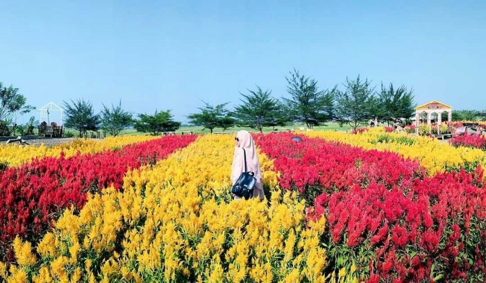 7 Tempat Wisata Bantul Jogja yang Instagram Worthy