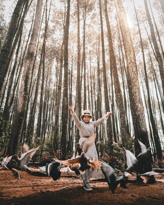 7 Tempat Wisata Bantul Jogja yang Instagram Worthy