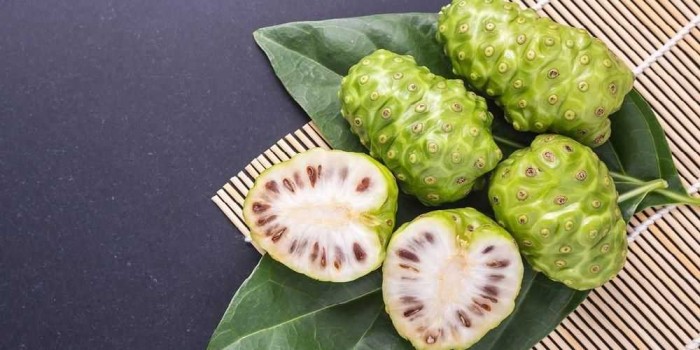 20+ Manfaat Buah Mengkudu Untuk Kesehatan dan Kecantikan 