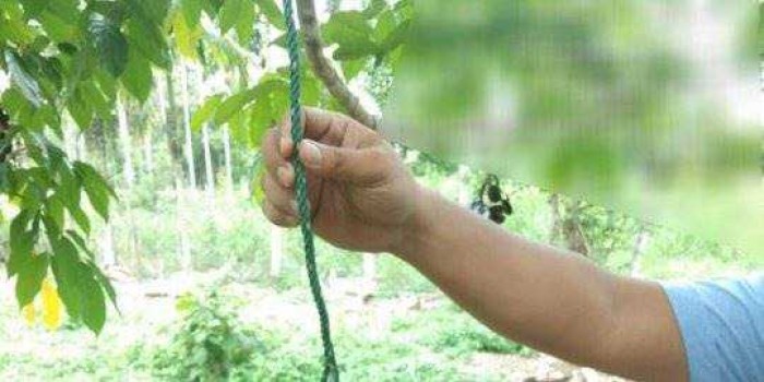 Waspada Balita di Riau ini Tewas Saat Bermain Ayunan Waspada Balita di Riau ini Tewas Saat Bermain Ayunan