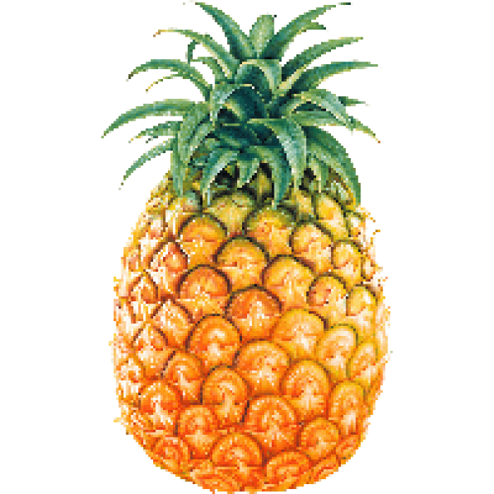 Contoh Soal Bahasa Inggris Kelas 2 SD