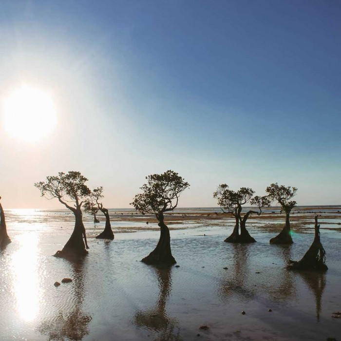 5 Wisata di Sumba Timur yang Eksotis, Berasa Lagi di Luar Negeri!