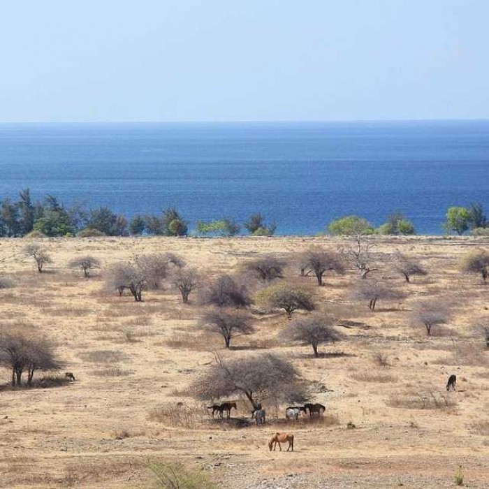 5 Wisata di Sumba Timur yang Eksotis, Berasa Lagi di Luar Negeri!