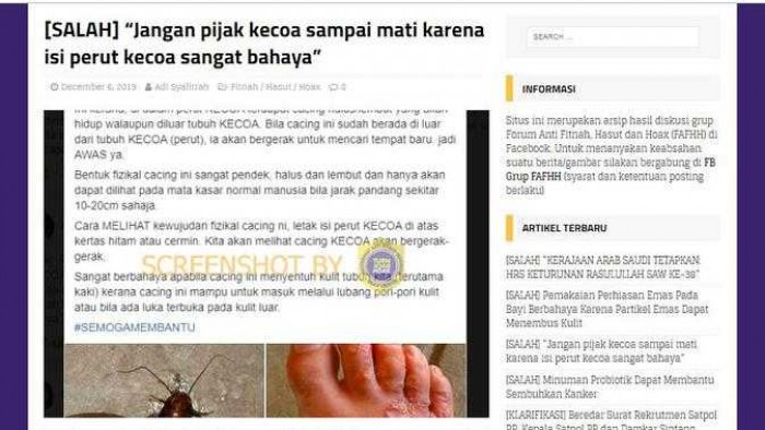 Benarkah Injak Kecoa Sampai Mati, ada Cacing Berbahaya Keluar dari Tubuhnya Benarkah Injak Kecoa Sampai Mati, ada Cacing Berbahaya Keluar dari Tubuhnya