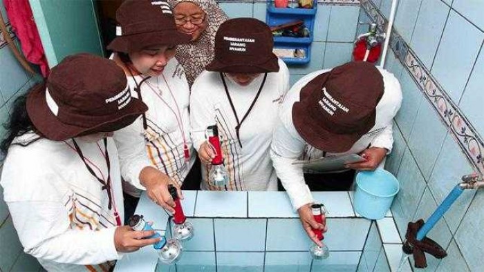 Banyak Nyamuk Dirumah? Awas Kena DBD, Ini Cara Alami Mengusirnya