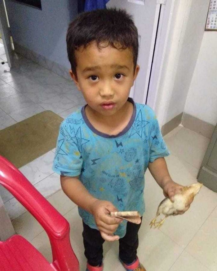 Tabrak Anak Ayam Tetangganya, Lihat Apa yang Dilakukan Bocah ini, Bikin Kagum.