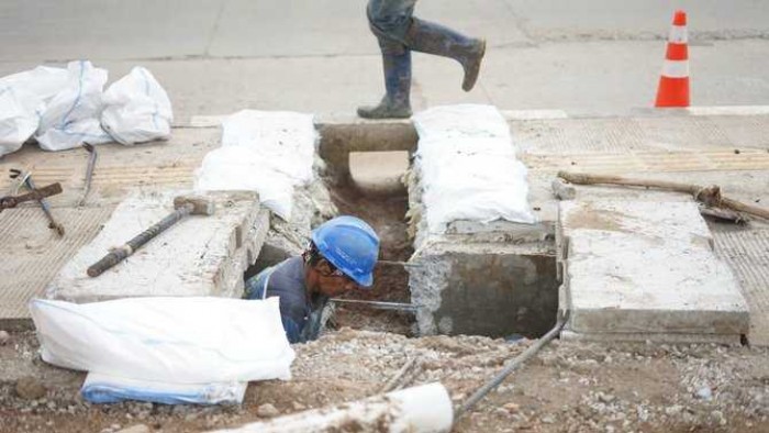 8 Tempat Persembunyian Ular yang Jarang Disadari
