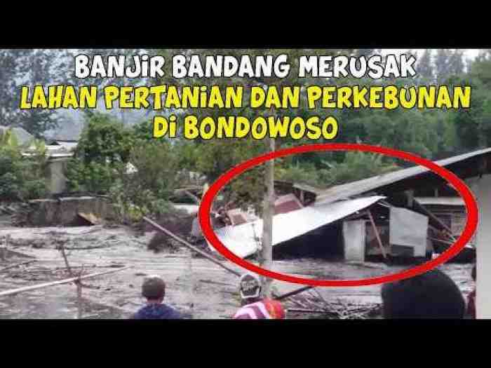 Detik-detik Banjir Lumpur Terbesar Terjang Ratusan Rumah Warga di Bondowoso