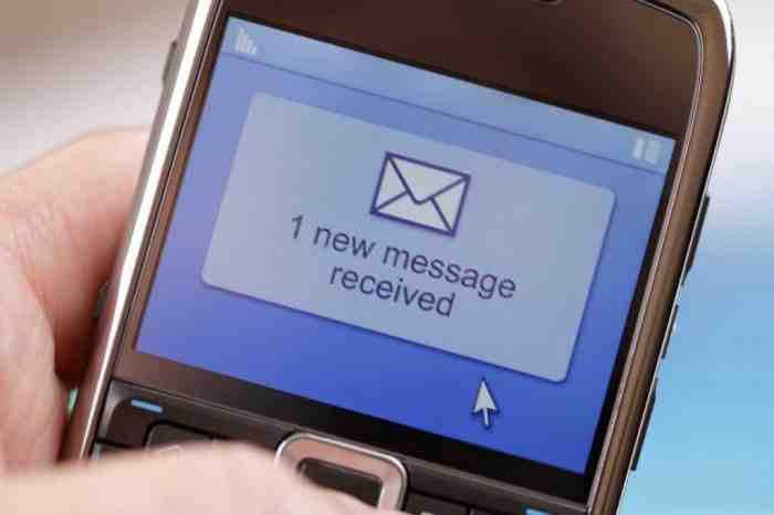 Panduan Lengkap SMS Banking BRI