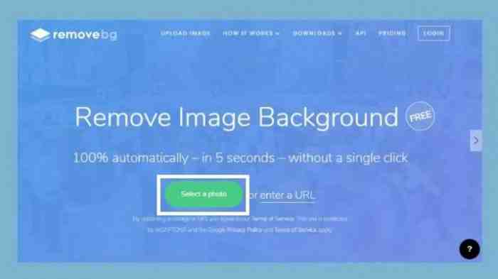 Mudah dan Gratis, Begini Cara Edit Background Foto Online