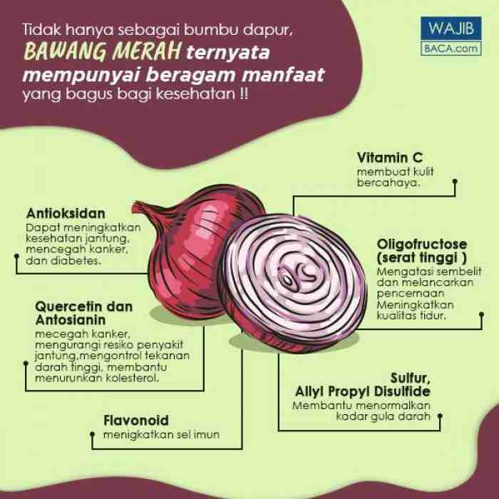 20 Manfaat Bawang Merah Untuk Kesehatan