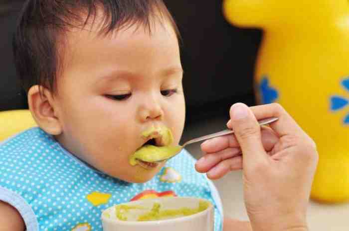 Makanan Bayi 11 Bulan