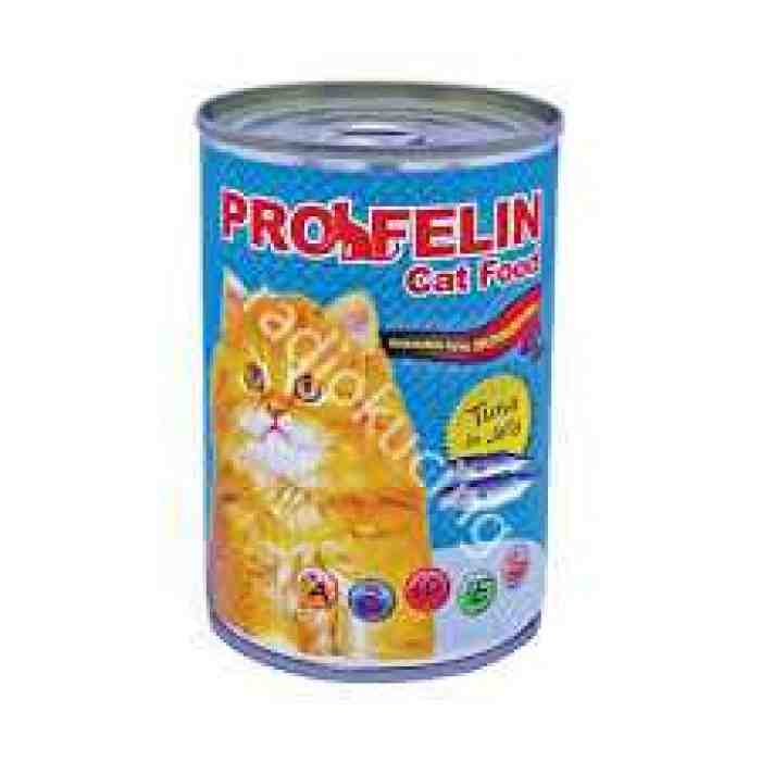 5 Rekomendasi Makanan Basah Kucing Kesayangan Anda