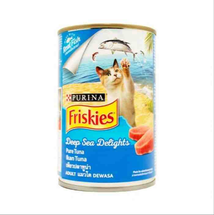5 Rekomendasi Makanan Basah Kucing Kesayangan Anda
