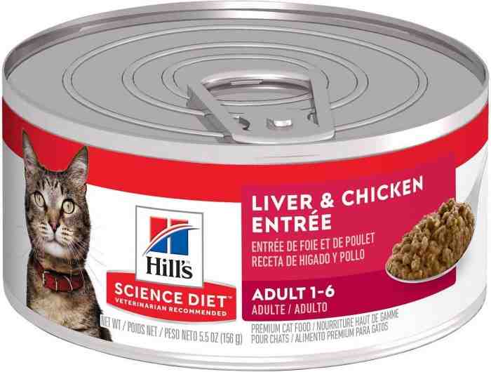5 Rekomendasi Makanan Basah Kucing Kesayangan Anda