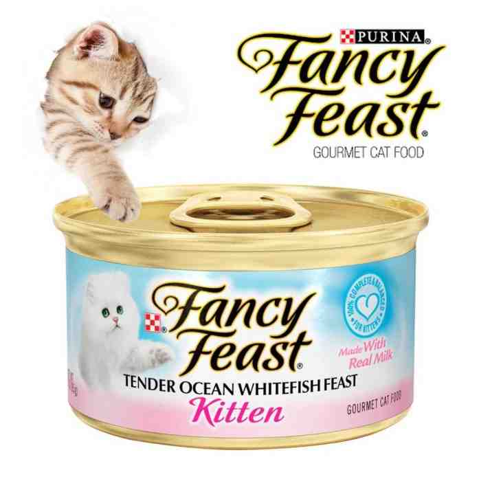 5 Rekomendasi Makanan Basah Kucing Kesayangan Anda