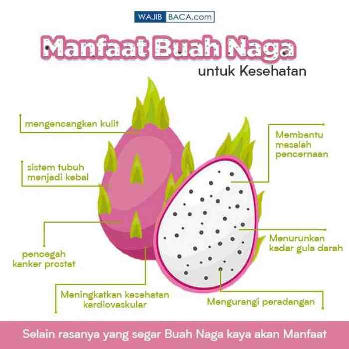 20 Manfaat Buah Naga Bagi Kesehatan Tubuh 