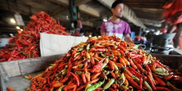 Naik 100 %, Harga Cabai Rp 90 Ribu/Kg, Sambel di Rumah Gak Pedas Lagi