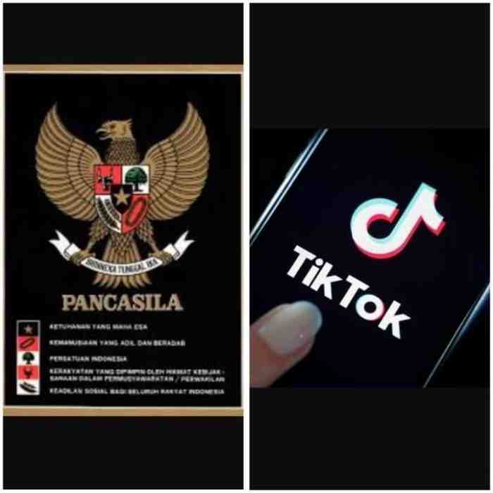 Jokowi Sebut Tiktok Akan Menjadi Media Sosialisasi Pancasila ke Milenial