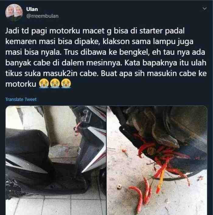 Tak Lazim, Motor Tiba-tiba Mogok, Setelah Di Cek Penyebabnya Bikin Melongo