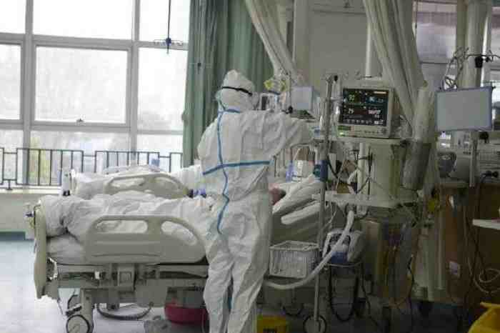 Awas Terinfeksi Virus Corona, ini 5 Makanan untuk Menjaga Daya Tahan Tubuhmu